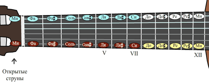 Уроки гитары - названия нот на 1-й и 6-й струнах одинаковые
