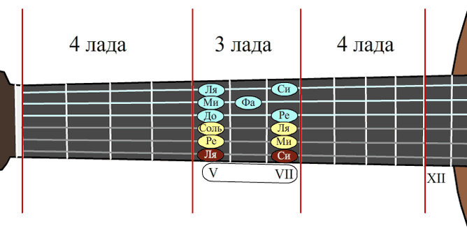 Уроки гитары - как запомнить лады а гитаре. V-VII лады.